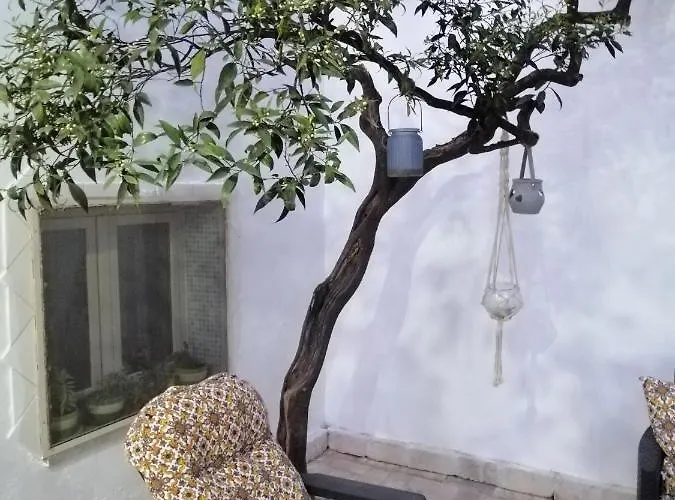 Bed & Breakfast Sud Est Salento 3*